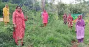 Dharamsala Forest Division Engages 28 Community Groups for Green Drive