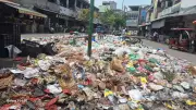 Faridkot Garbage Crisis: Sanitation Strike Enters 15th Day, Health Emergency Looms