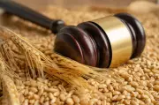 Farm Laws Quiz: Key Takeaways on Parliamentary Competence and Dispute Resolution