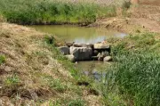 Four of family drown while bathing at check dam in Rajasthan village