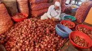 Govt hikes onion procurement price by 13% to Rs 2,125/quintal, 5th revision this season