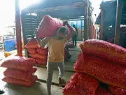 Govt hikes onion procurement price by 13% to Rs 2,125/quintal for farmers