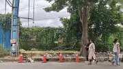 Greenpeace Flags Bengaluru's Footpath Crisis After Supreme Court Ruling