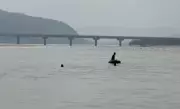 Haryana Launches Drone Surveys of 11 Drains to Curb Yamuna Pollution
