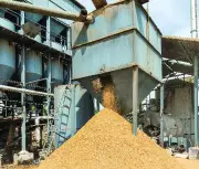 Haryana rice industry opposes pollution board closure threat, seeks time till 2027