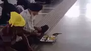 Heartwarming Video: Sikh Man Shares Langar with Tiny Bird Goes Viral