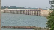 Heavy Rain Recedes, Inflows into Krishna Basin Dams Decrease