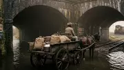 Horse-drawn cart sinks in Meerut underpass; man, horse die