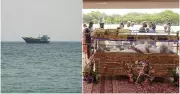 India Condemns Attack on Vessel Off Oman; S Janaki Cremated
