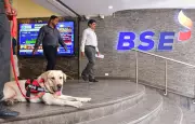 Indian Markets Rally for Second Day; Sensex Surges Over 800 Points