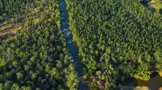 Jharkhand: The Land of Forest – A Green Gem of India