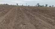 Kalyana Karnataka faces drought as rainfall deficit hits 36%