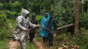 Karnataka: Rain Subsides in Malnad, Inflow Rises at Hemavathi Dam