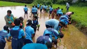 Karnataka School Offers Hands-On Paddy Farming Experience to Students