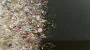 Karnataka's Polluted Rivers Rise to 14, Arkavathi Most Affected: KSPCB