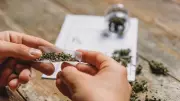 KSISF Foils Ganja Smuggling Bid at Mangaluru Prison, 35g Seized