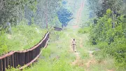 KSMCL Secures Forest Diversion Approval for 47 Acres in Ballari Despite Pending Dues
