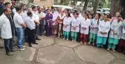 Kullu doctors protest mob attack, seek FIRs and security at hospital