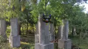 Kunigal farmer uses cement rings to protect sandalwood trees in Tumakuru