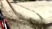 Landslide, flash flood batter Himachal's Kinnaur; 100-foot iron bridge submerged