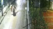 Leopard Attacks Delivery Agent in Residential Area, Video Goes Viral