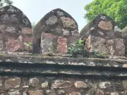 Lodhi Garden's 600-Year-Old Monuments Threatened by Growing Saplings