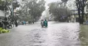Maharashtra's Vasai Floods Repeatedly: Salt-Pans, Encroachments Key Causes