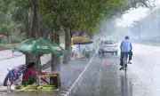 Moderate Rain Brings Relief from Scorching Heat in Tarn Taran District