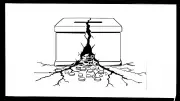 Moral Reckoning in Governance Failures: A Critical Analysis