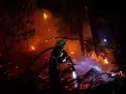 Nearly 300,000 evacuated as wildfires threaten Bordeaux, ravage Spain
