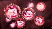 New antiviral drug may stop measles from turning into an outbreak