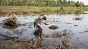 Onion Growers Urge Maharashtra Govt for Equal Concern for Farmers