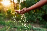 Outdated alum treatment causes water crisis in Kasauli villages