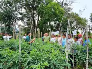 Over 1,200 Himachal Farmers Benefit from ICAR-CPRI's Khet Bachao Abhiyaan