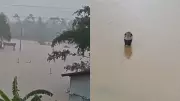Over 900 Cobras Escape in China Floods, 1 Killed, Several Bitten