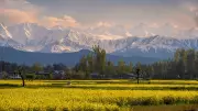 Pakistan Now Faces the Kashmir Questions It Once Asked India