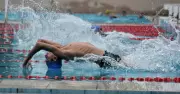 PAU Swimmers Shine with Gold and Bronze at Ludhiana District Swimming Championship