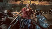 Prajwal Devaraj Breaks Silence on Pending Salary Amid Karavali Trailer Ruckus