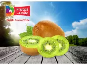 Premium Chilean Kiwifruit Arrives in India with Great Taste and Nutrition