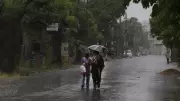 Punjab, Haryana Brace for Wet Week as IMD Predicts Heavy Rain Till July 12