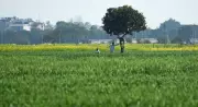 Punjab Land Pooling Policy 3.0: Key Changes, Benefits, and Unresolved Issues