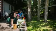 Quebec Town Adopts Rights of Trees, Pioneering Legal Movement