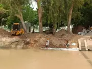 Rat-damaged canal bank repair begins in Bathinda after Tribune report