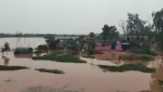 Residents Near Markanda, Tangri Rivers Fear Crop Loss Amid Flooding