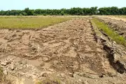 Rohtak Industrialists Allege Lethargy, Seek HSIIDC Action on Power, Governance Gaps