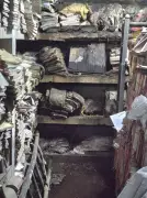 Sewer Leak Damages Key Financial Records at Ludhiana MC Office, Raises Concerns