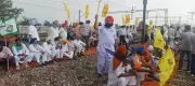Sirhind Rail Blockade by Qaumi Insaaf Morcha Disrupts Over 13 Trains