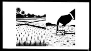 Smarter Land Choices for Sustainable Growth in India