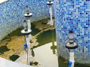 Stagnant water in Amritsar fountain raises dengue fears as admin pushes Dry Day