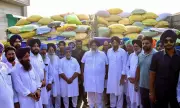 Sukhbir Badal Launches Wheat Relief Drive for Rain-Hit Farmers in Malout